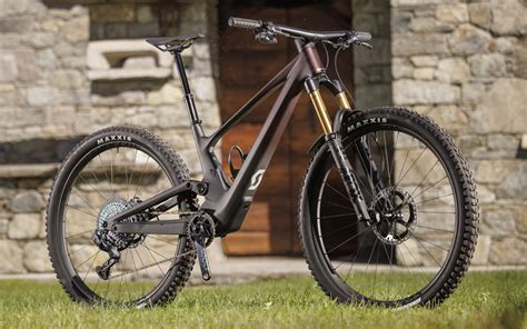 Gorsko kolo na poti skozi gozd