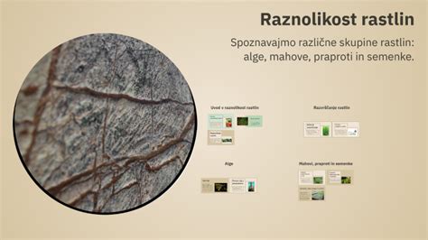 Raznolikost rastlin na rtu Kamenjak, vključno z ilustracijo orhideje.