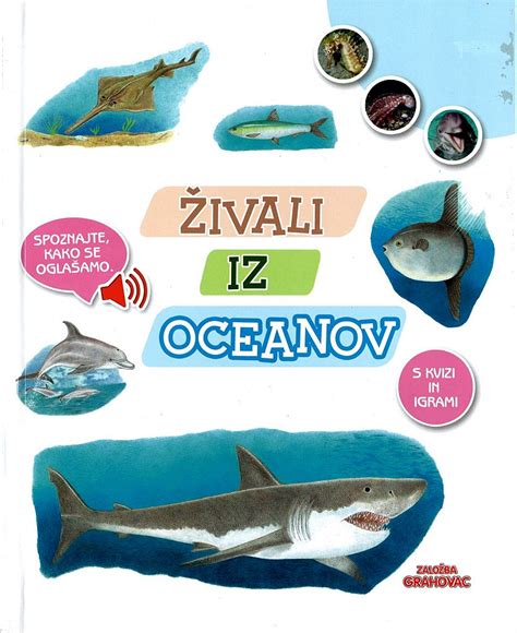 Zemeljska obla s pokritostjo oceanov