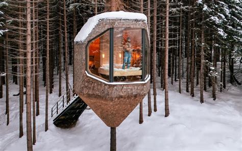 Luksuzna hišica na drevesu z dodatnimi ugodnostmi