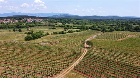 Vinogradniška kmetija s tradicionalno kulinariko