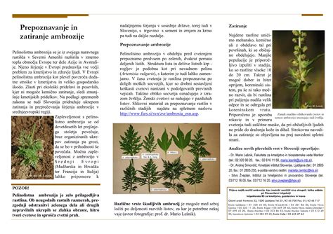 Raznolikost kmetijskih pridelkov v Sloveniji