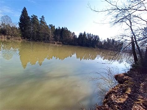 ribnik Želodnik z obalo in klopcami