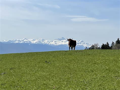 Slovenska krajina s Triglavom v ozadju
