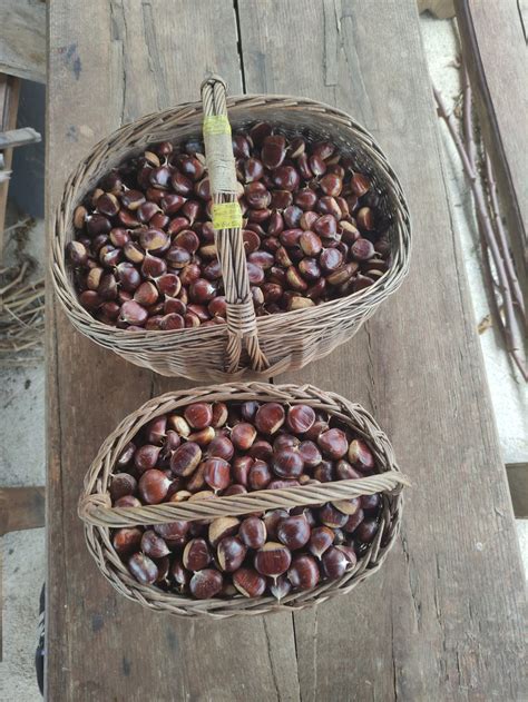 Različni lokalni pridelki Bele krajine na leseni deski