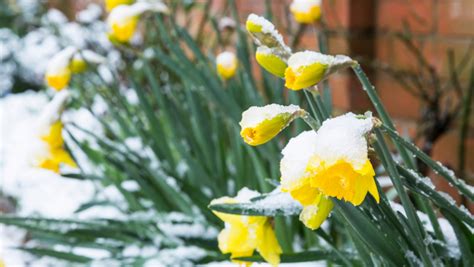 Pariz v zimskem oblačilu s hladnim vremenom