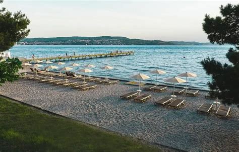 Kmetija s tradicionalno slovensko arhitekturo obdana z zelenjem