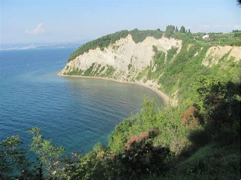 Pogled na Strunjanski klif in morje