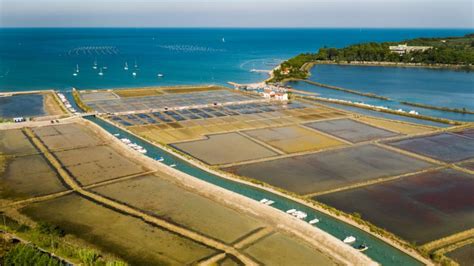 Strunjanske soline s solinarjem