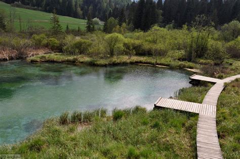 Izvir reke Save - Zelenci