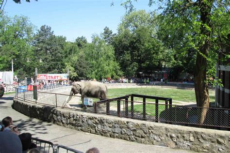 Panoramski pogled na Beogradski zoološki vrt