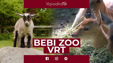 Bebi zoo vrt z otroci