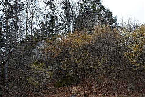 Razvaline gradu Forhtenek