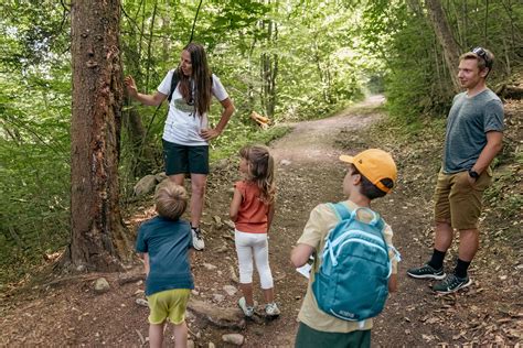Fotografija družine, ki se zabava na toboganu v vodnem parku