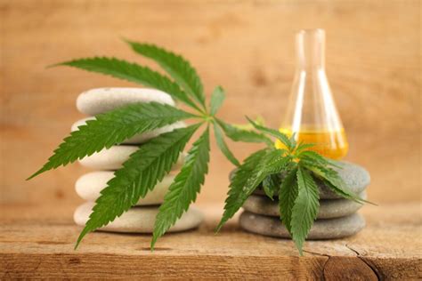 simbolična upodobitev konoplje kot zdravila