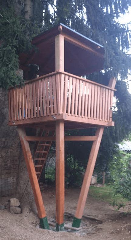 Lesena hiška na drevesu s pogledom na gozd