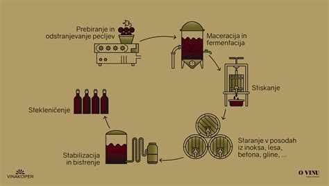 Proces pridelave vina v kleti