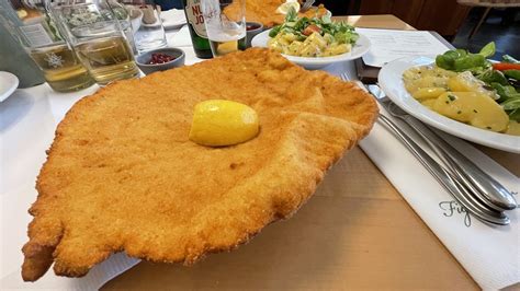 Dunajski dvorci in elegantne zgradbe