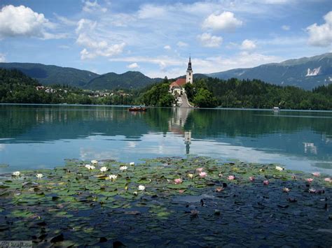 Blejsko jezero s Pletno in gradom