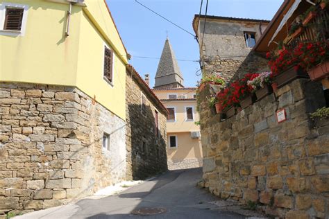 Istrska vas z oljkami in morjem