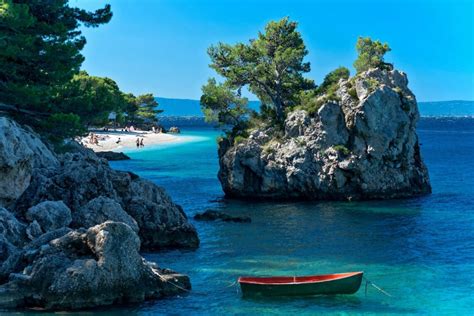 Lepa plaža z borovci na otoku Pašman