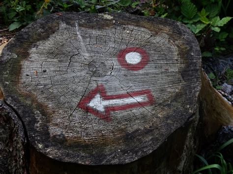 Markacije na pohodni poti