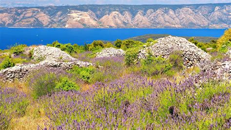 Ruševine samostana v votlini na Hvaru