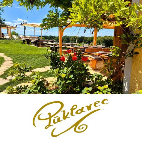 Razkošna postrežba domačega zajtrka na turistični kmetiji Pri Biscu