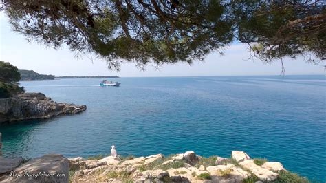 Pogled na staro mestno jedro Rovinja s cerkvijo sv. Eufemije