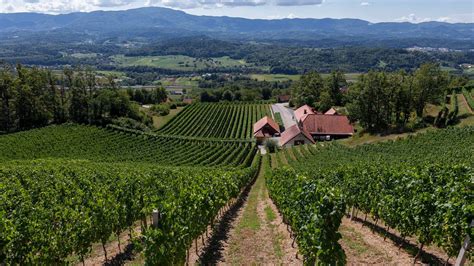 Notranjost zidanice Colnar