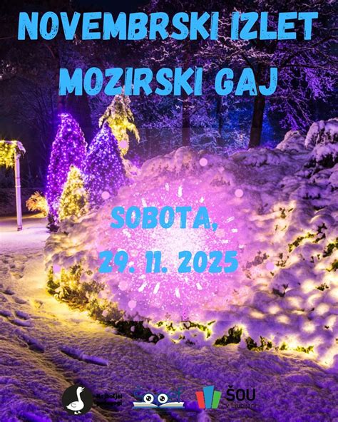 Fotografija Mozirskega gaja, osvetljenega z milijoni prazničnih lučk