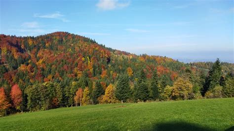 Pohorje v jesenskih barvah