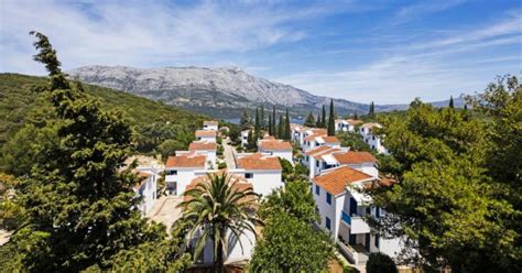 Grško podeželje z oljčnimi nasadi