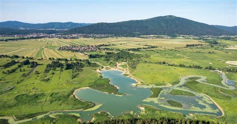 Slika Cerkniškega jezera v presihajoči fazi