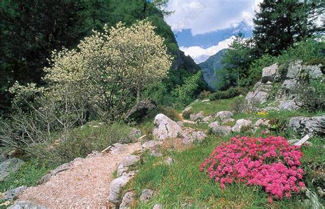 Alpski botanični vrt Julijana