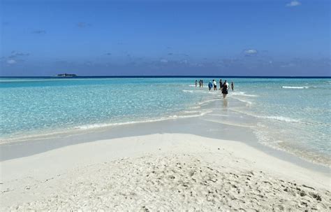 Plaža na Maldivih s palmo in turkiznim morjem