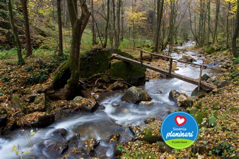 Bistriški vintgar s slapom Šum