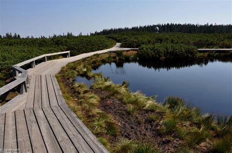 Pogled na Lovrenška jezera s sprehajalnimi brvmi