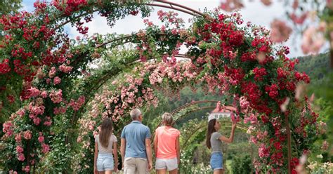 Botanični vrt Univerze v Mariboru