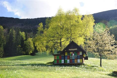 Tipičen slovenski čebelnjak