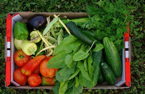 Sestavine za domačo hrano na kmečkem turizmu