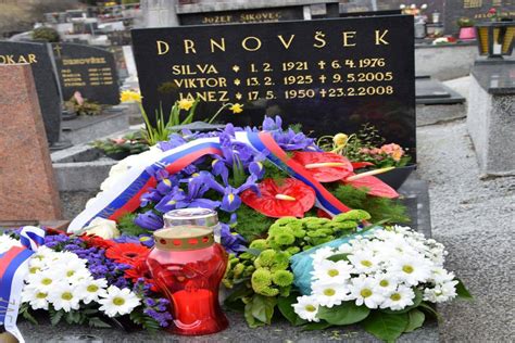 Tone Stojko, prva vlada Janeza Drnovška