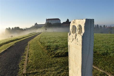 Arheološko najdišče železnodobne svetolucijske kulture
