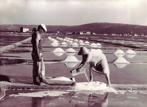 Solinarstvo v Sečovljah