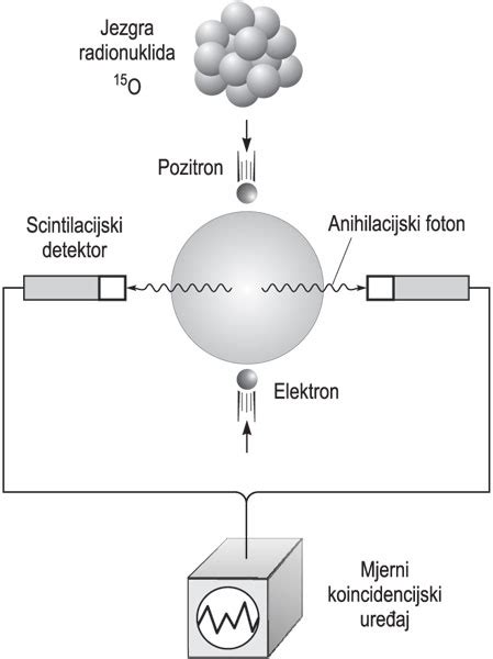 Shema nastanka zvočnega vala z zgoščinami in razredčinami