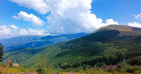 Panoramski pogled na vinorodno pokrajino Brda/Collio