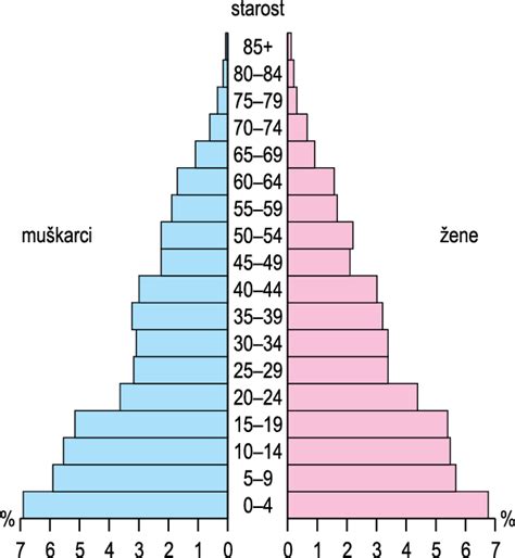 Demografska piramida Pariza