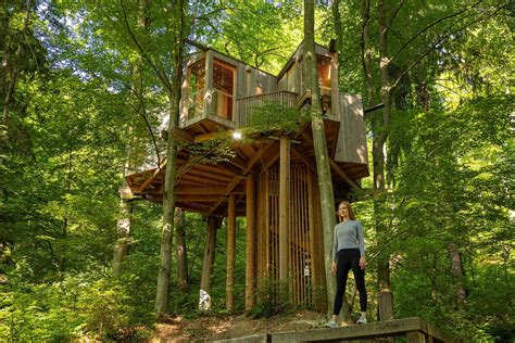 Simbolični prikaz gozdne knjižnice