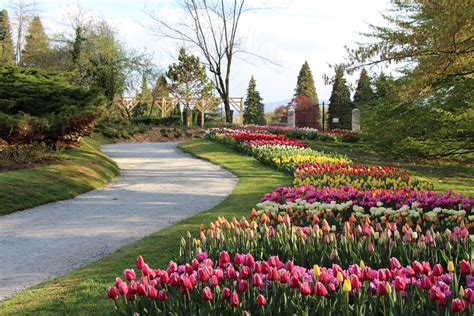 Arboretum Volčji Potok