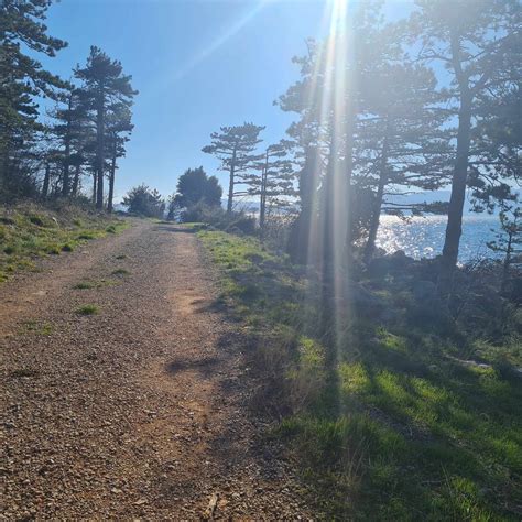 Pešpot na Vetrnik z razgledom na Kozjansko